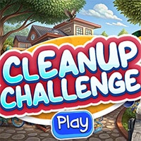 Cleanup Challenge