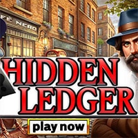 Hidden Ledger